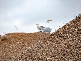Wat betekent BENOR-certificatie concreet voor gebruikers van granulaten?
